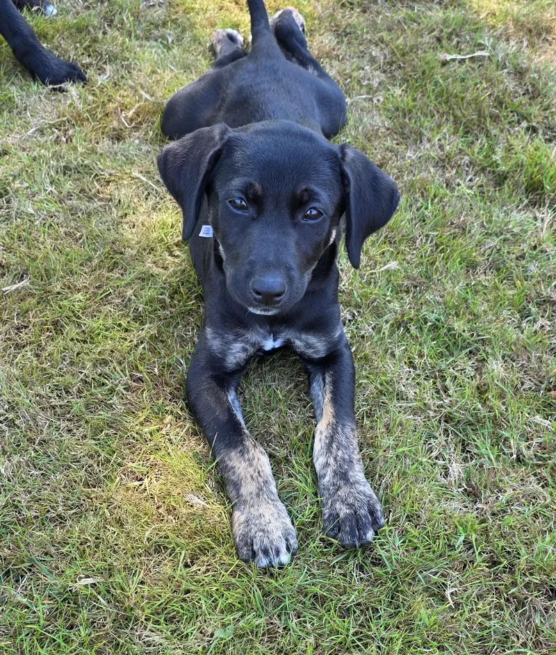 Max