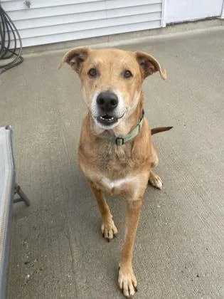 Loki  Please Read thumbnail 2