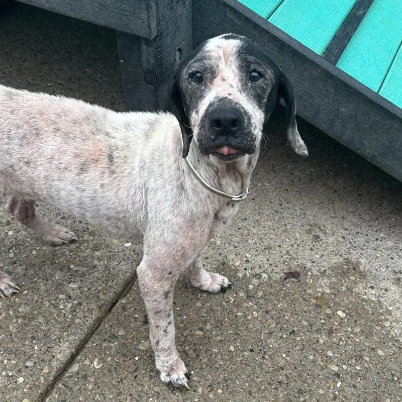 Sweet Loaf thumbnail 2