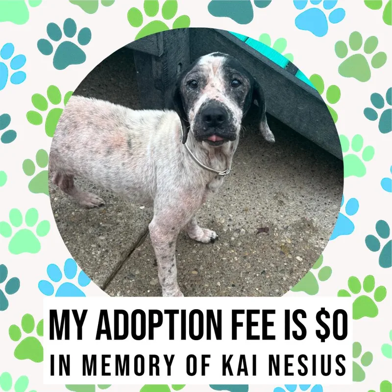 Sweet Loaf thumbnail 3