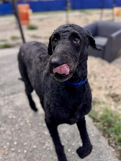 Sabastian thumbnail 2