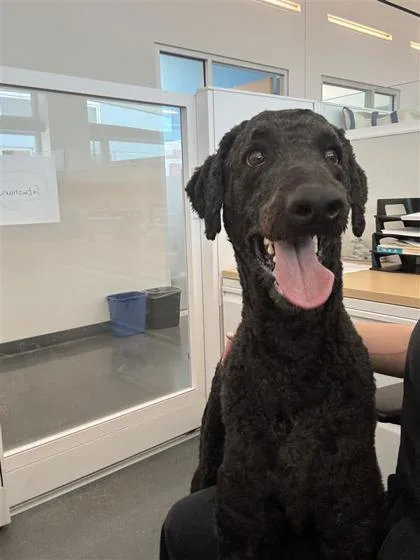 Sabastian thumbnail 3