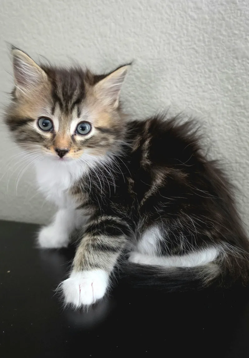 Margot thumbnail 3