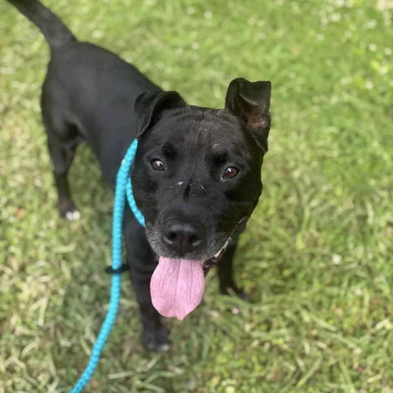 Beef Jerky thumbnail 3