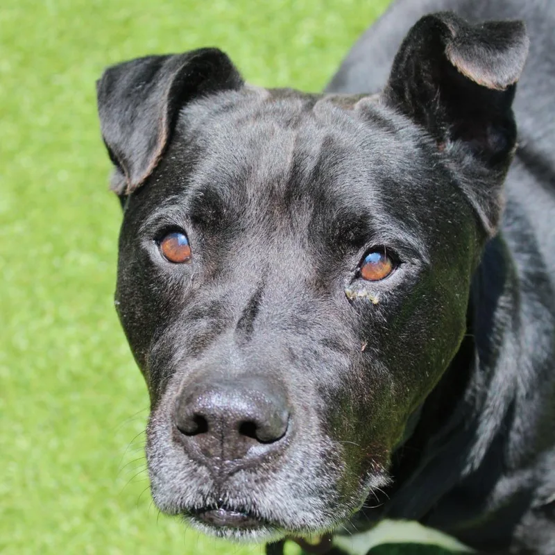 Beef Jerky thumbnail 6