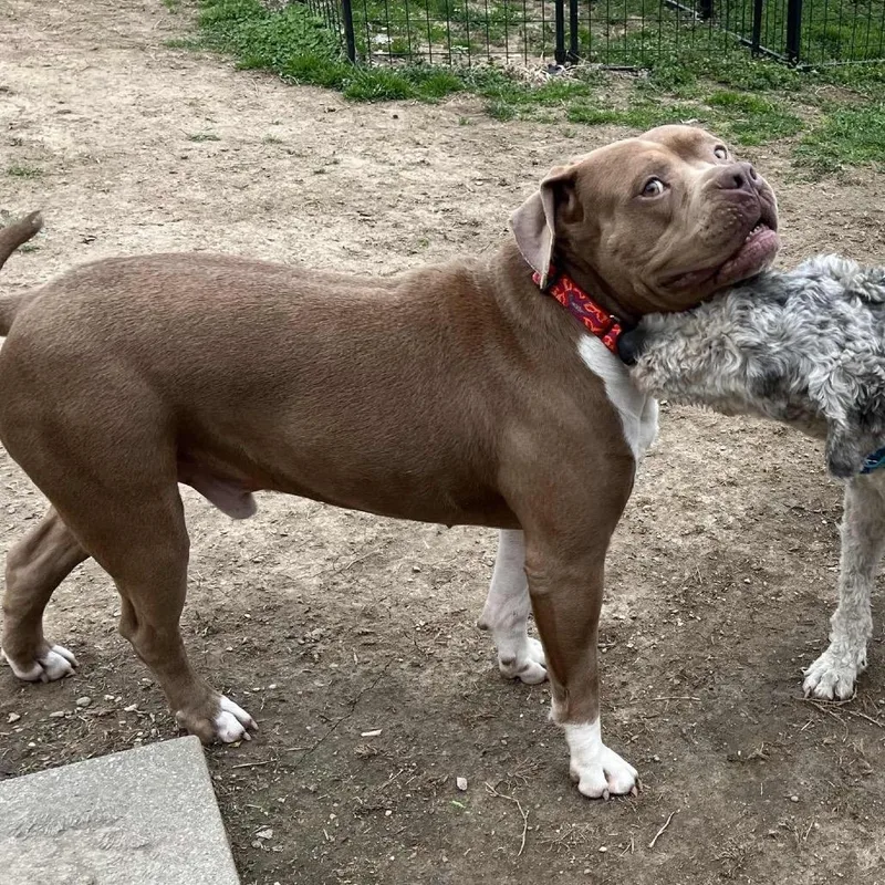 Manhattan thumbnail 2