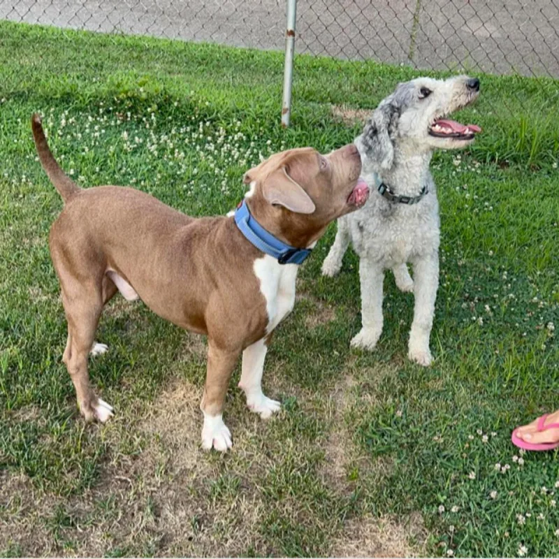 Manhattan thumbnail 3