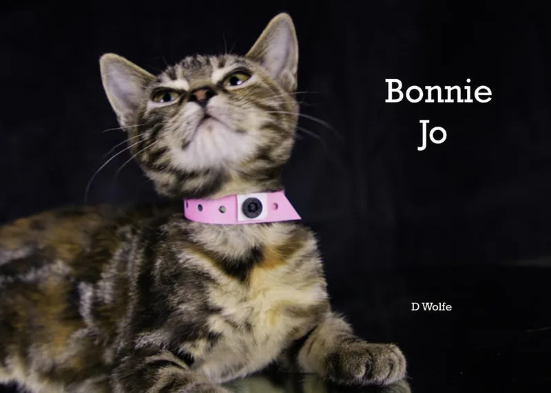 Bonnie Jo