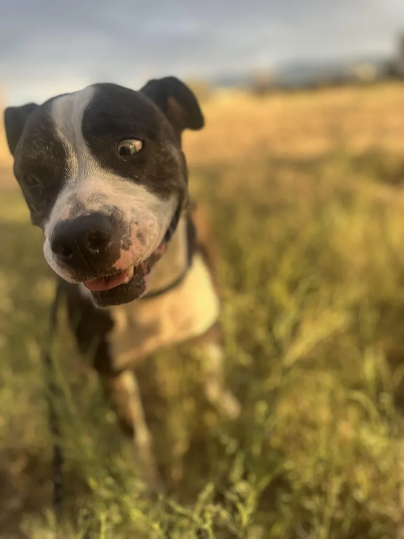 Princess thumbnail 5