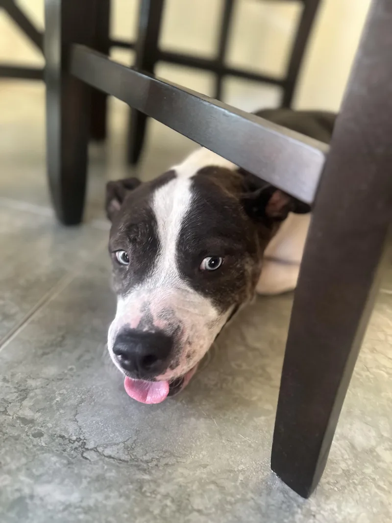 Princess thumbnail 6