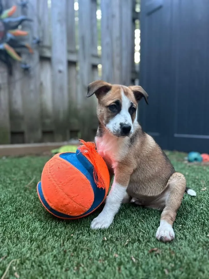 Buster thumbnail 2