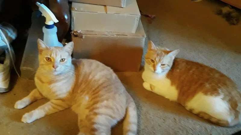 Chrissy And Piper thumbnail 2