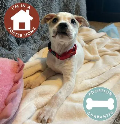 Runescape thumbnail 2