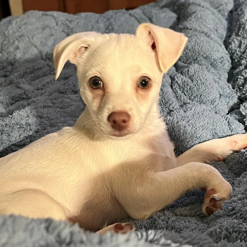 Wyatt thumbnail 4