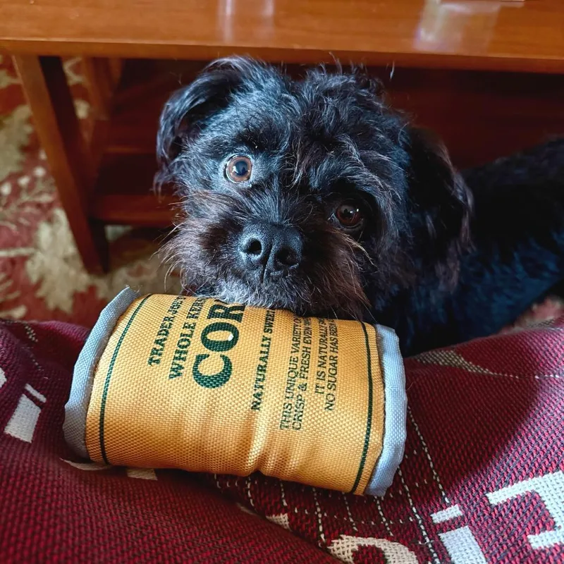 Yogibear thumbnail 3