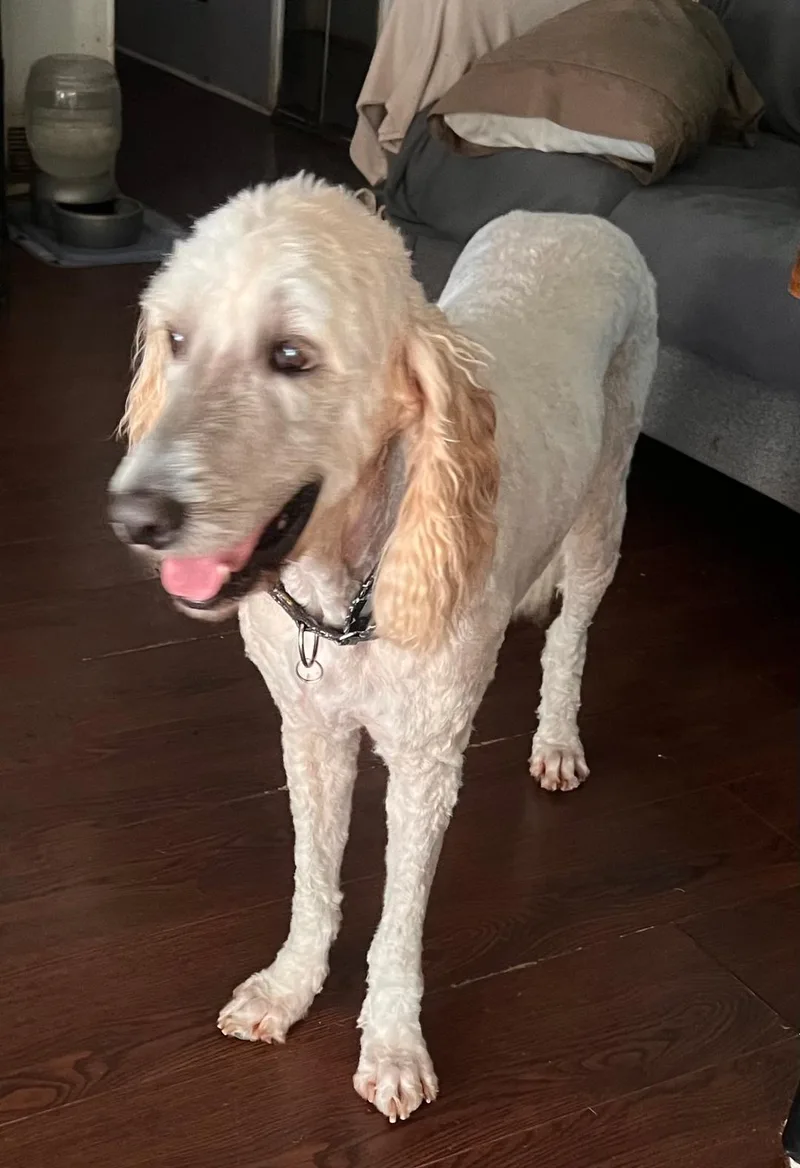Max