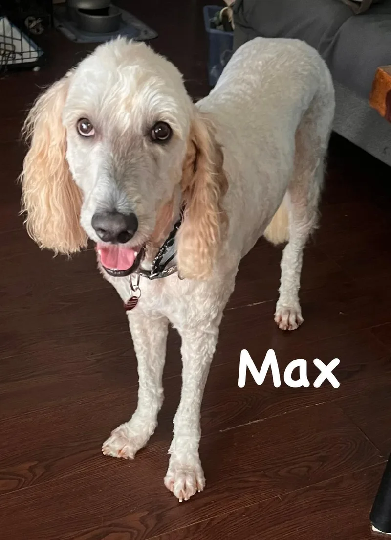 Max thumbnail 2
