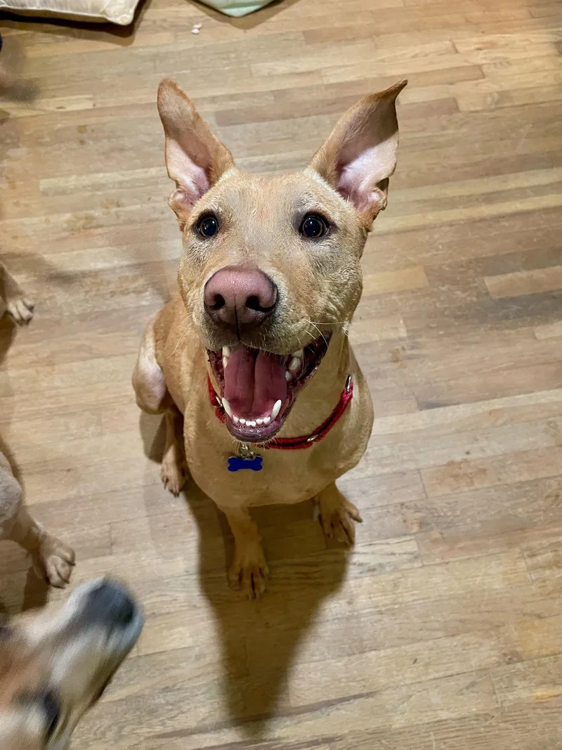 Bob Barker thumbnail 2