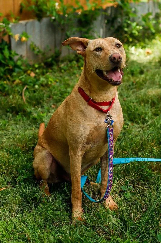 Bob Barker thumbnail 3