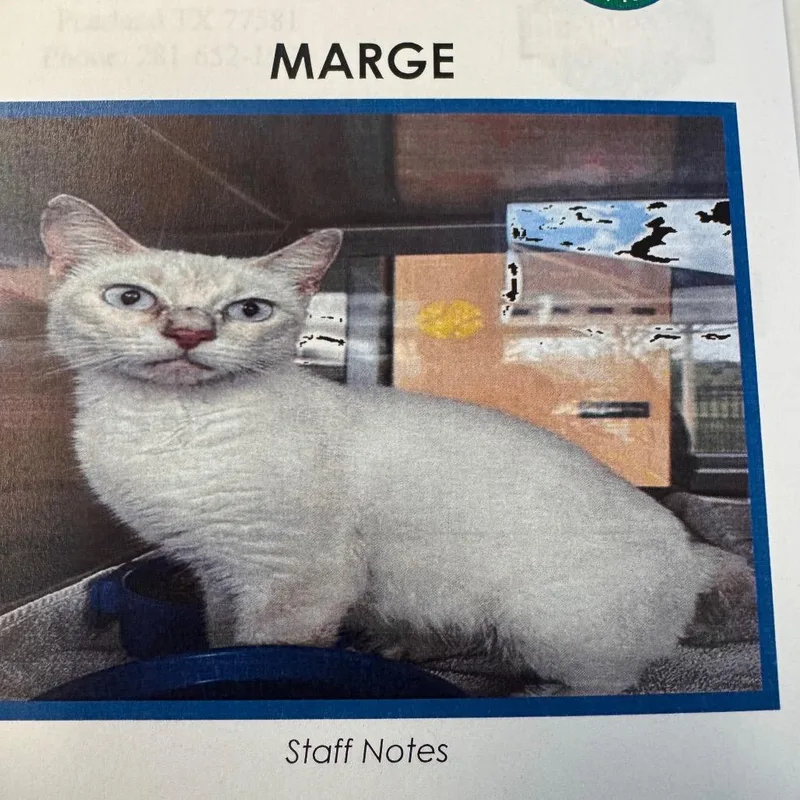 Marge