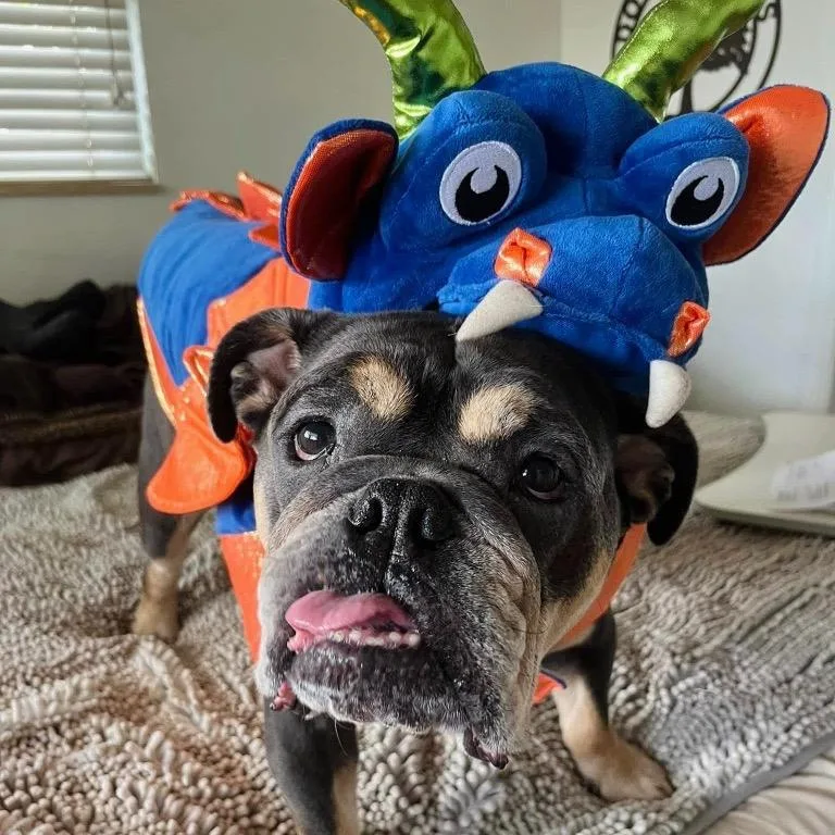 Andy thumbnail 5