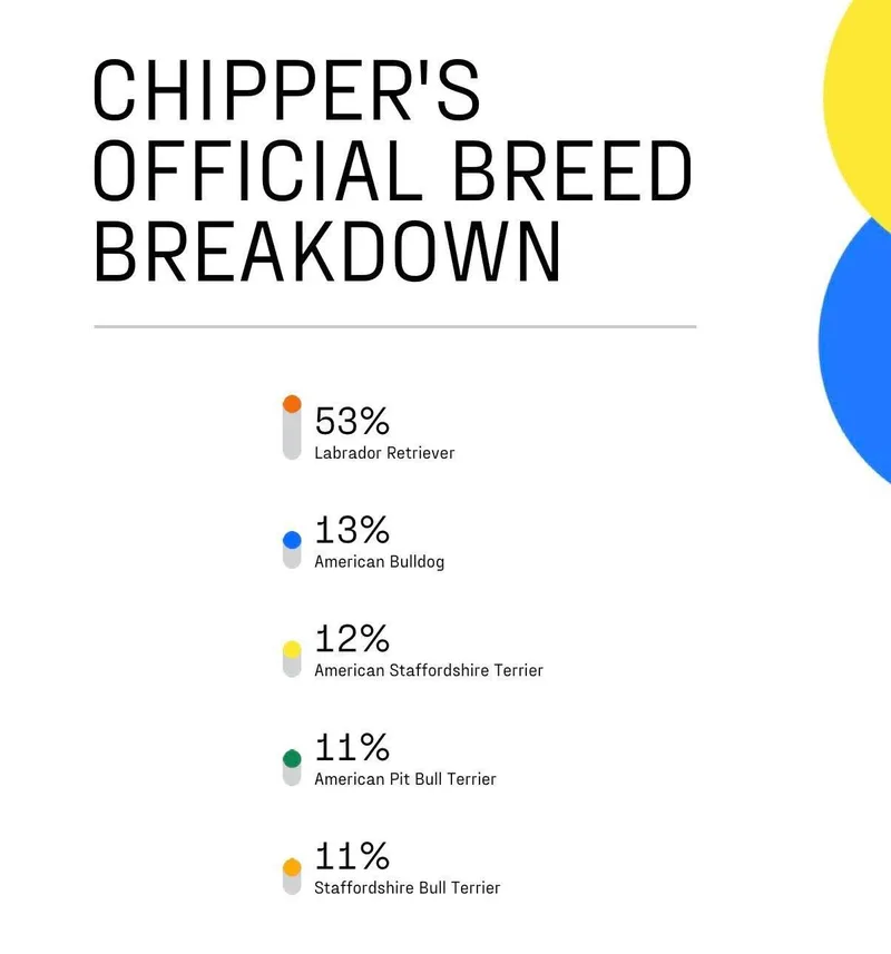 Chipper thumbnail 4