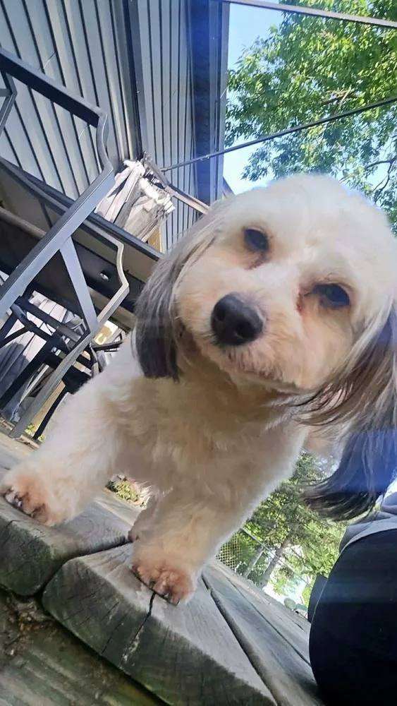 Sadie thumbnail 5