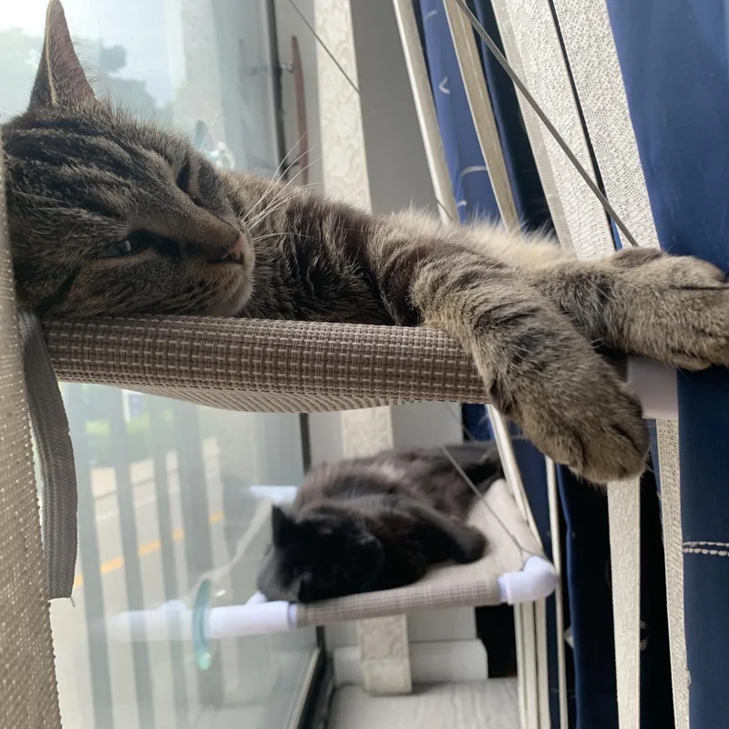 Chloe & Porter thumbnail 3