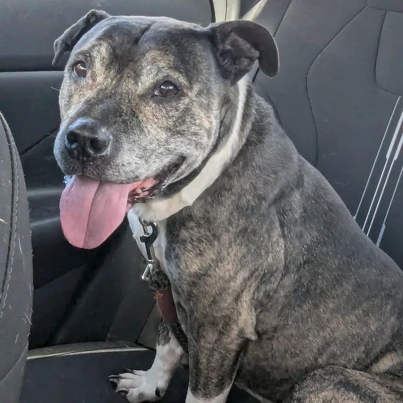 Princesa thumbnail 2