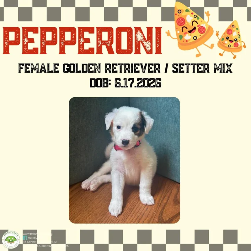 Pepperoni thumbnail 2