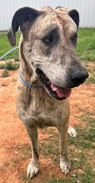 Tillie Jean thumbnail 3