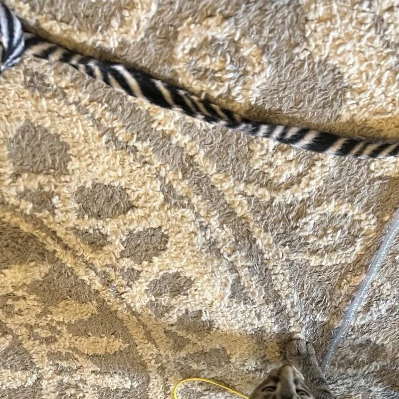Baby Willow thumbnail 2