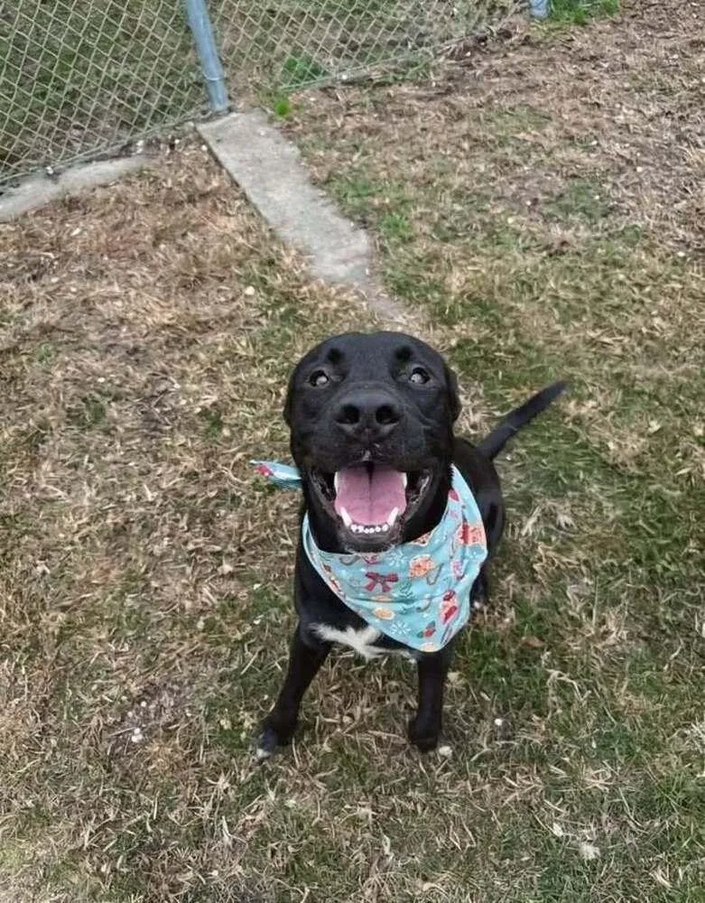 Obi A 💜 thumbnail 3