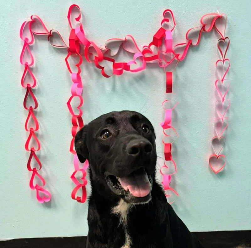 Obi A 💜 thumbnail 4