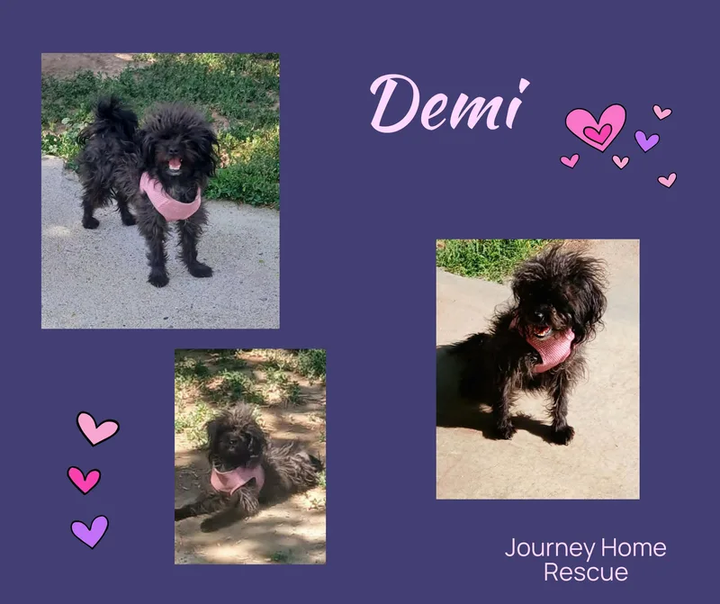 Demi