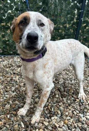 Hagen  Ma thumbnail 4