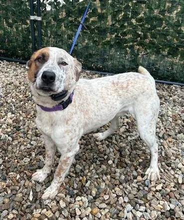 Hagen  Ma thumbnail 5