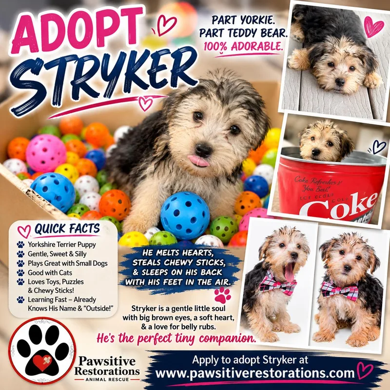Stryker thumbnail 5
