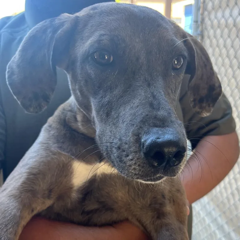 Michelle thumbnail 2