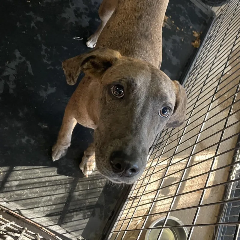 Michelle thumbnail 3