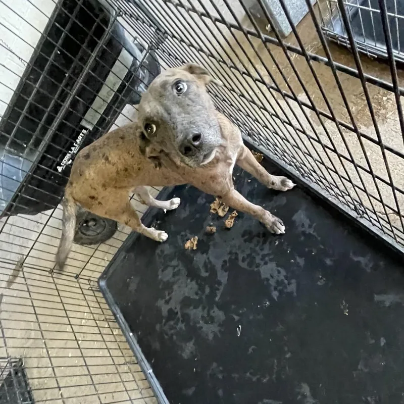 Michelle thumbnail 4