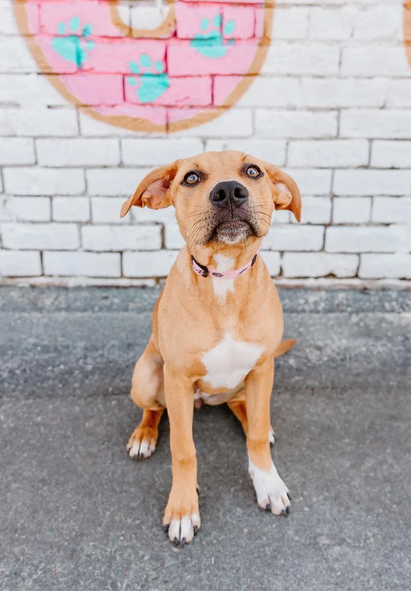 Chambéry thumbnail 2