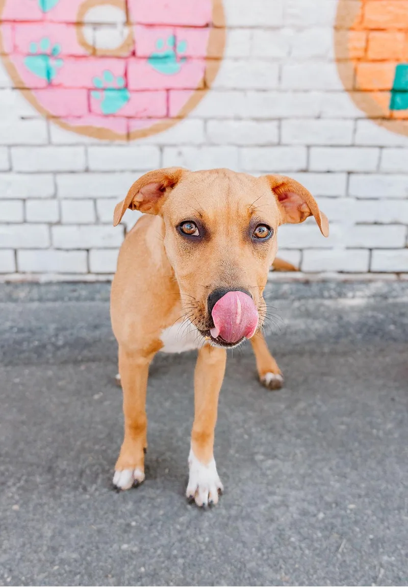 Chambéry thumbnail 3