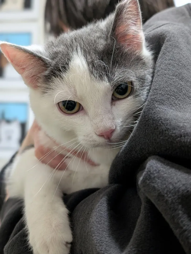 Lucy And Ethel thumbnail 2