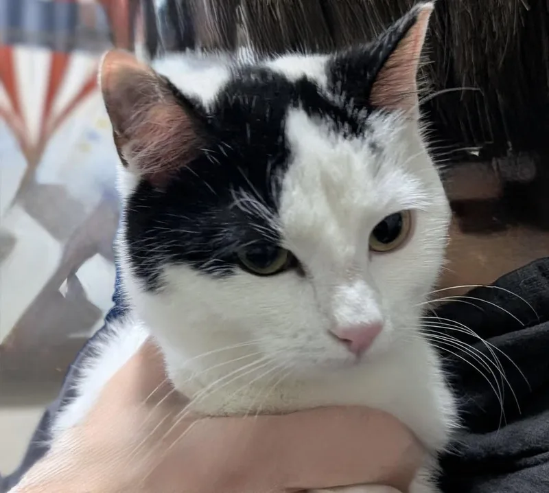 Lucy And Ethel thumbnail 3