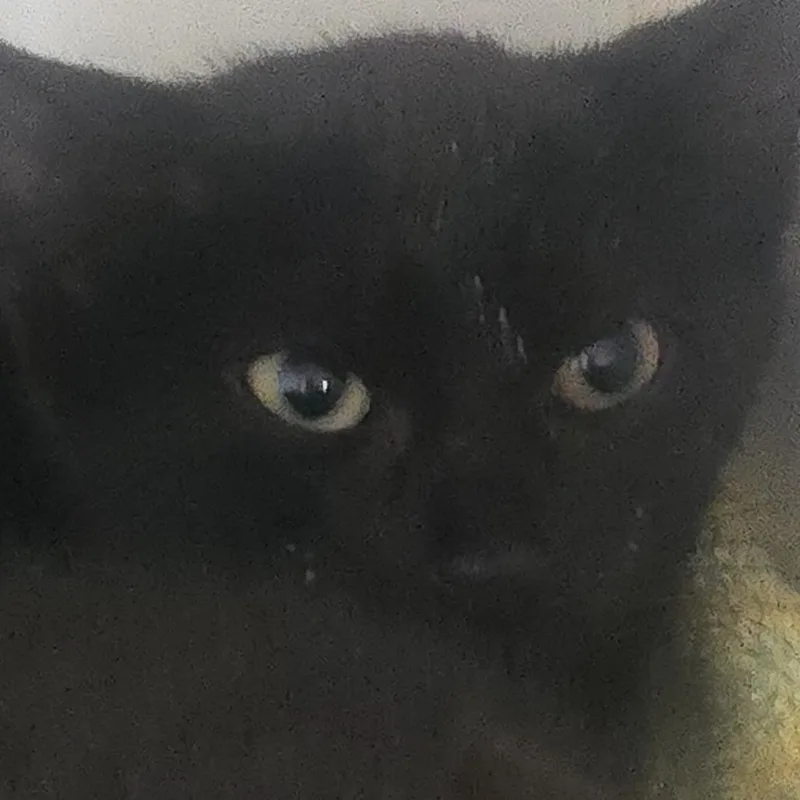 Linus
