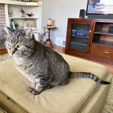 Abby