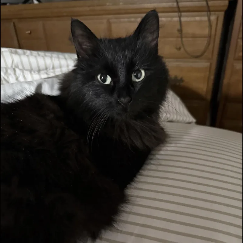 Charlie