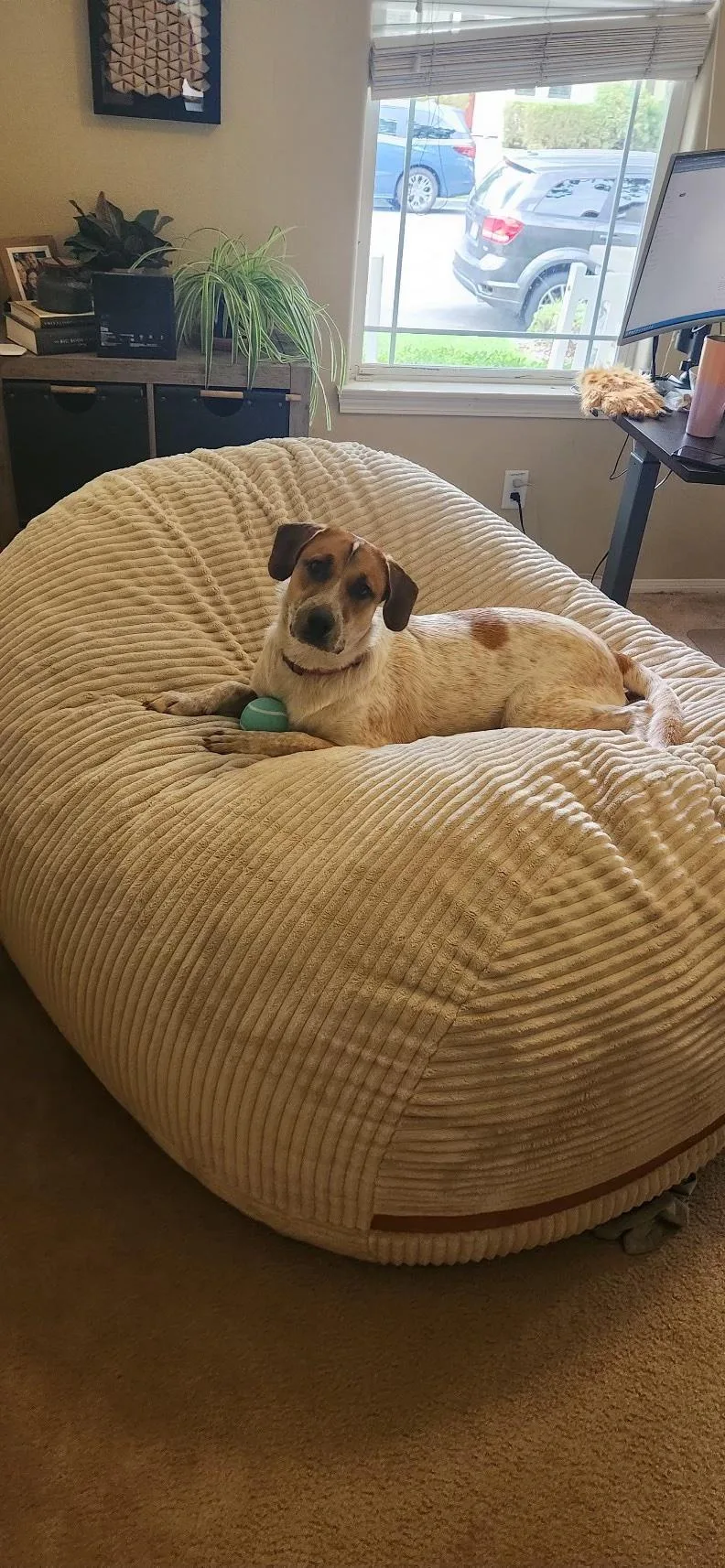 Kamari Rose thumbnail 3