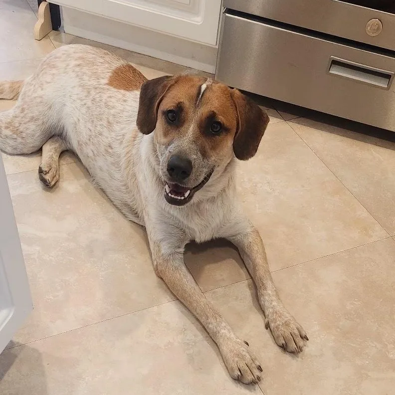 Kamari Rose thumbnail 5